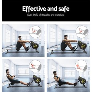 four-panel image showing man using rowing machine in bright room, each panel highlights different muscle groups activated during rowing motion with red overlays on arms, back, and legs
