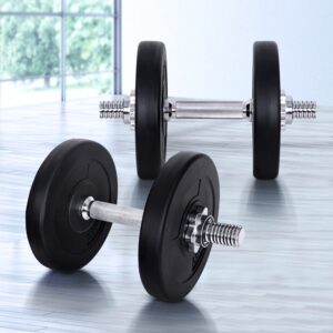 Pair of fixed dumbbells with black circular plates and silver knurled handles placed on a light wooden floor in a bright home gym with window view