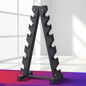 Vertical dumbbell storage rack with multiple angled holders, shown in a modern home gym setting, designed to save floor space while keeping dumbbells organised and accessible.