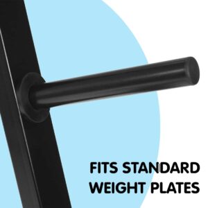 Close-up of weight plate storage rack peg showing compatibility with standard gym weight plates.