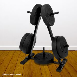 Black weight plate storage rack holding multiple gym weight plates on a wooden floor, shown without weights included.