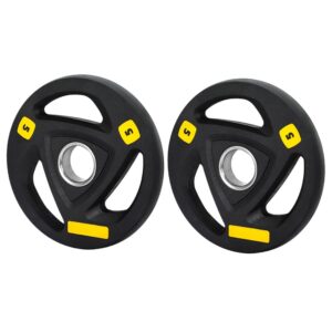 everfit rubber weight plates 5kg cast iron black