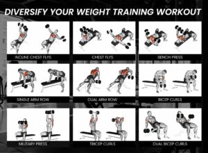 Dumbbell weight training exercise guide showing chest, back, shoulder, bicep and tricep workouts for home gym training