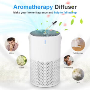 Portable HEPA air purifier with aromatherapy diffuser function helping reduce dust, pollen, pet dander and household odours