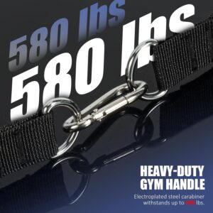 Heavy-duty cable handle featuring reinforced nylon webbing, steel D-rings and electroplated carabiner hardware