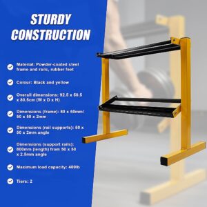 Steel dumbbell storage rack with two-tier design and durable powder-coated frame for gym organisation