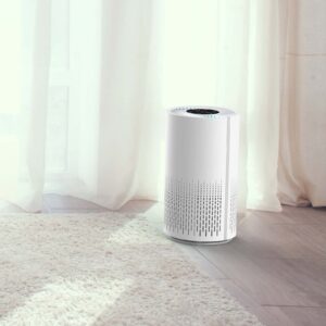 Lenoxx HEPA air purifier in a bright bedroom beside a rug and sheer curtains.