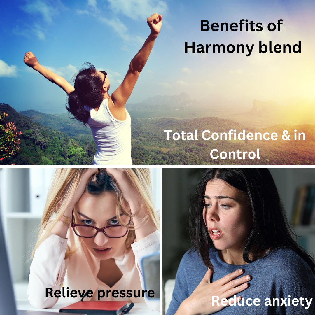 Amrita Court Harmony essential oils blend shown for an uplifting aromatherapy ritual